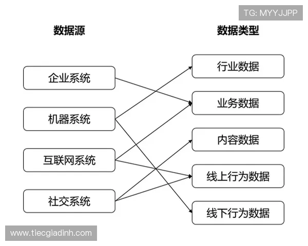 三亿真人:三亿真实用户背后的数据分析与科技应用前景