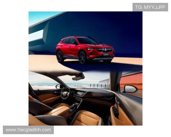 币游国际ag：全面解析其安全保障与用户体验提升策略