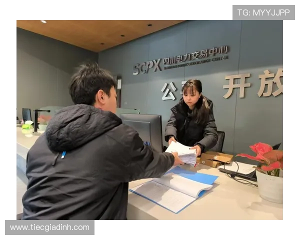 ds视讯官方官站客户服务中心全方位解答常见问题，提升您的游戏体验与满意度