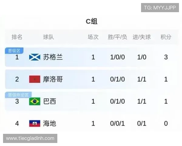 世界杯巴西对阵海地比赛中越位次数详细统计与分析报告
