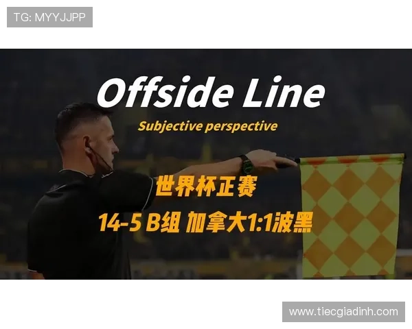 世界杯波黑对阵加拿大比赛时间及直播安排，详细解读与观看建议